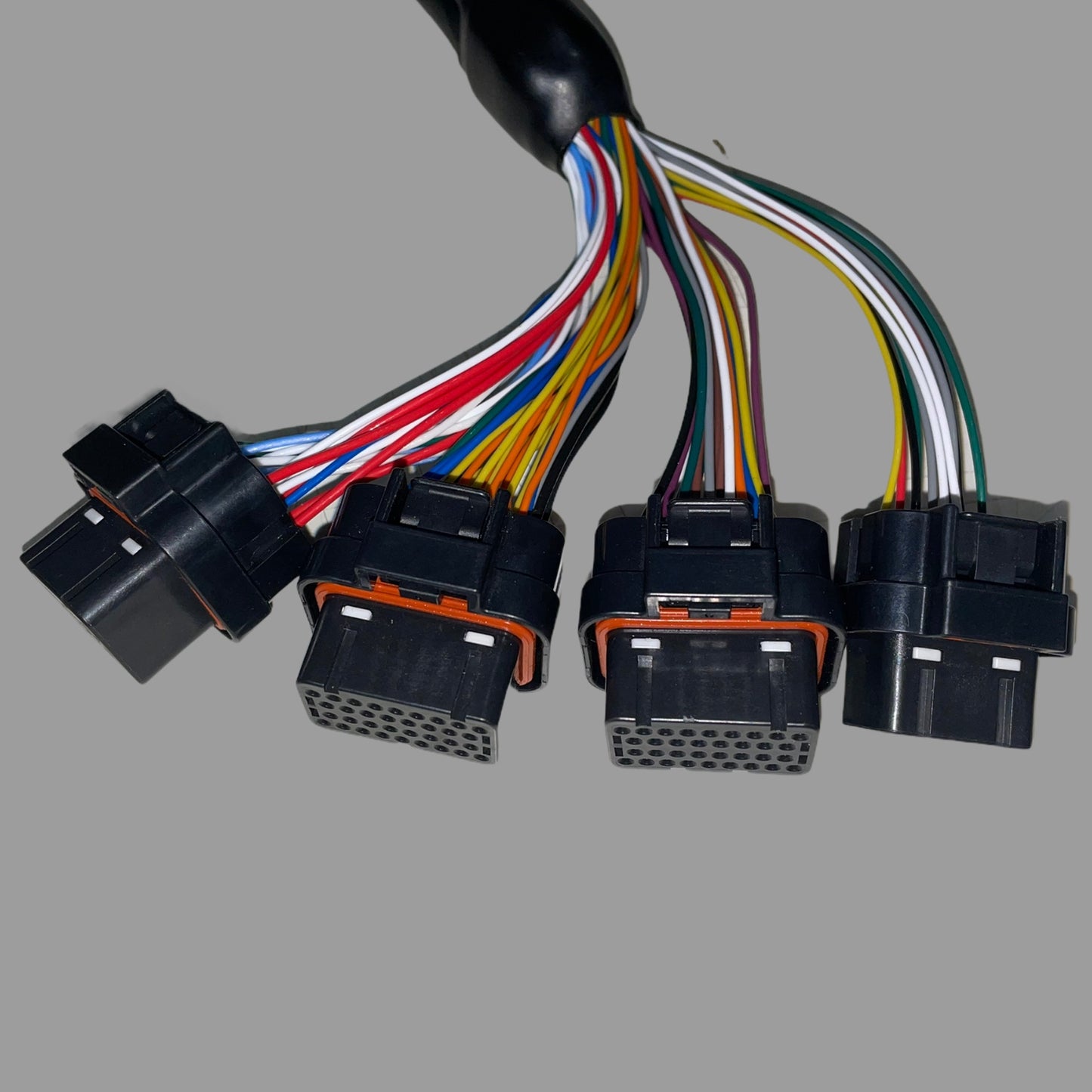 GM LS3 to KV Motorsports Terminated Harness