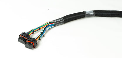 Ford Godzilla to Shadow 8 Terminated Harness - Emtron Australia Pty Ltd